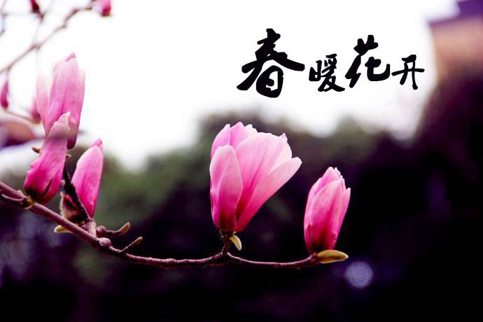 春暖花開(kāi) 教你春季如何做汽車(chē)保養(yǎng)！