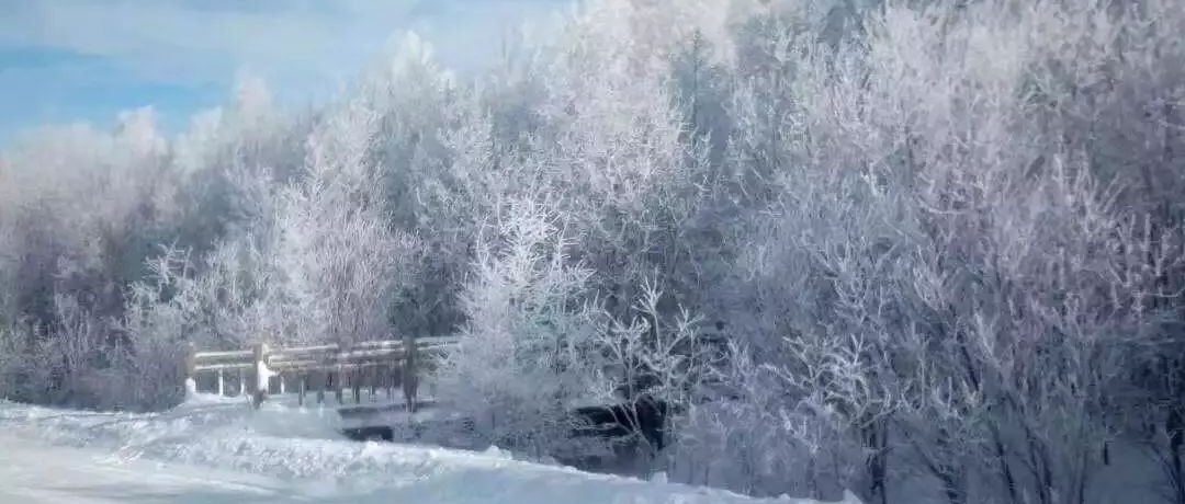 奕行記|奕路向北，駛向雪國阿爾山